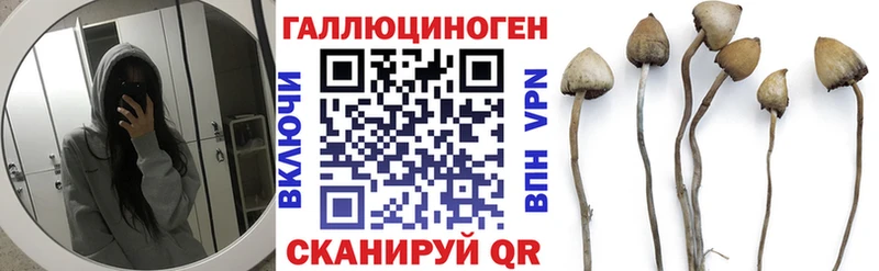 наркотики  Губкин  Псилоцибиновые грибы мицелий 