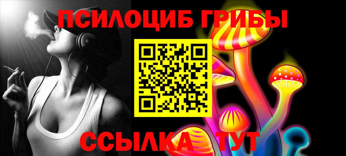 Губкин  Псилоцибиновые грибы MAGIC MUSHROOMS  Вход с VPN  Галлюциногенные грибы мухоморы 