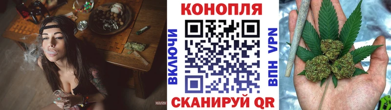 Шишки марихуана сатива  купить  сайты  Губкин 